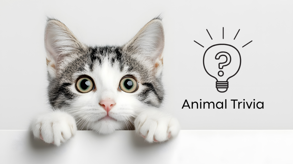 Dog wellness check at Bay Animal Hospital in Townsend, DE, vet near me